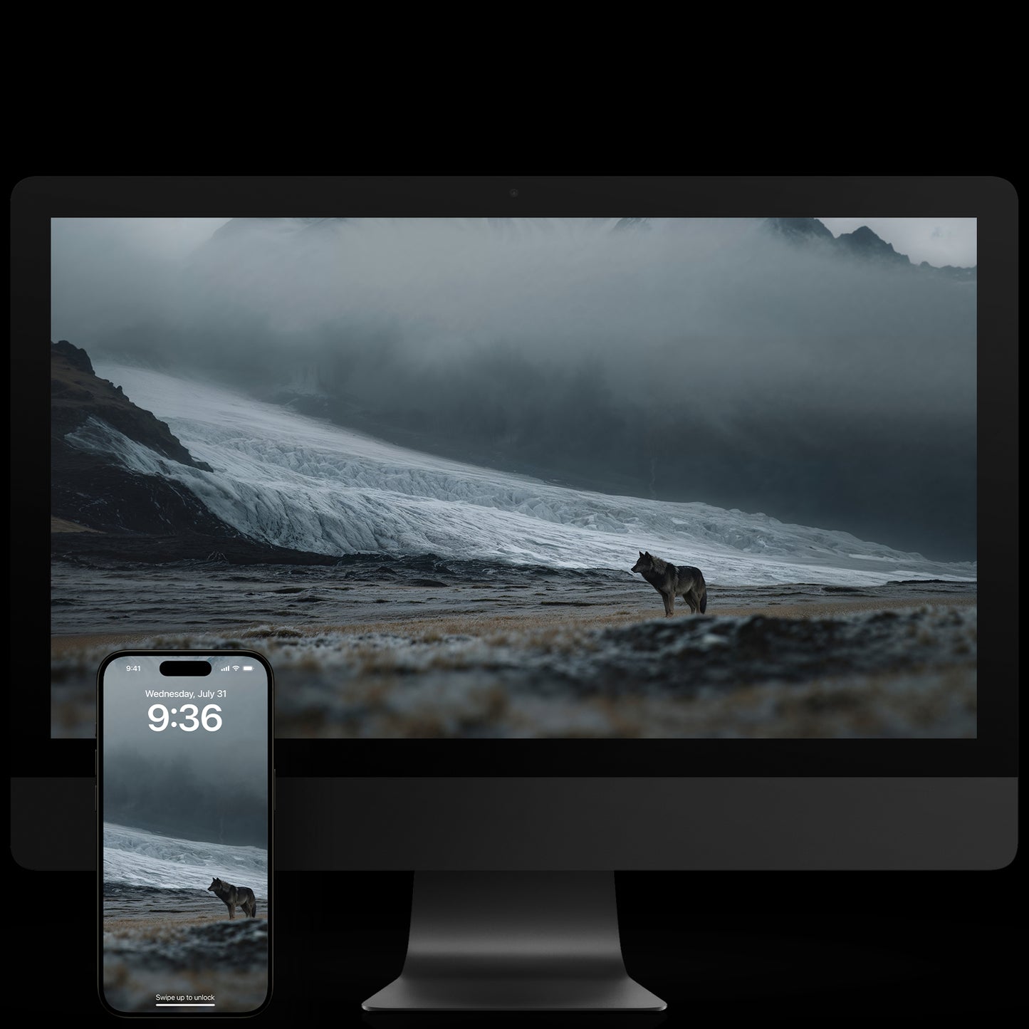 Glacier Wolf Wallpapers