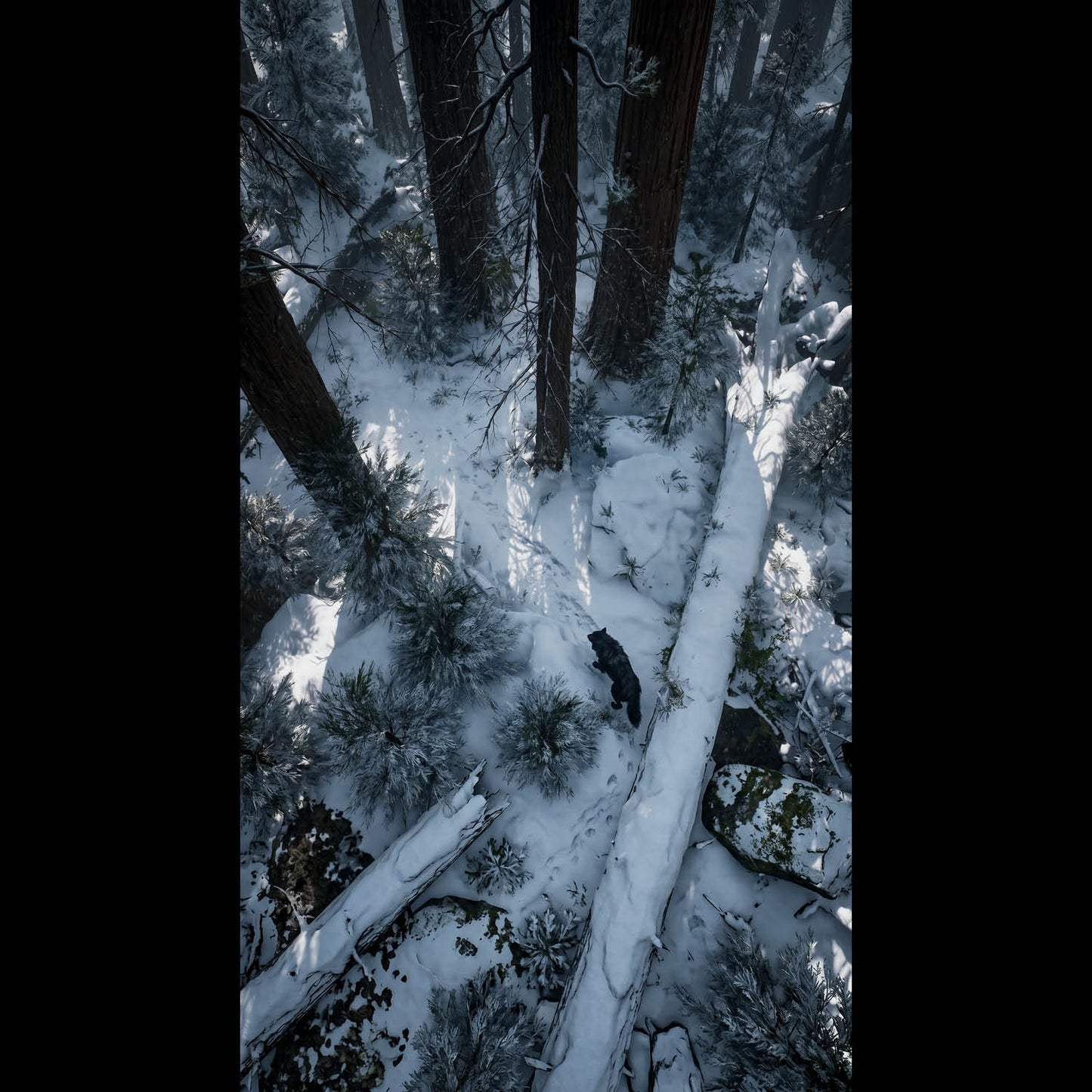 An atmospheric, 4K phone background depicting a colossal frost giant from Norse mythology towering over a misty mountain valley. The giant features glowing ice-blue eyes and a frozen beard, shrouded in thick clouds. In the foreground, a lone wolf stands sentinel on a jagged, snow-dusted cliff edge, looking up at the immense entity. The scene is cinematic, dark, and filled with a sense of mythic scale.