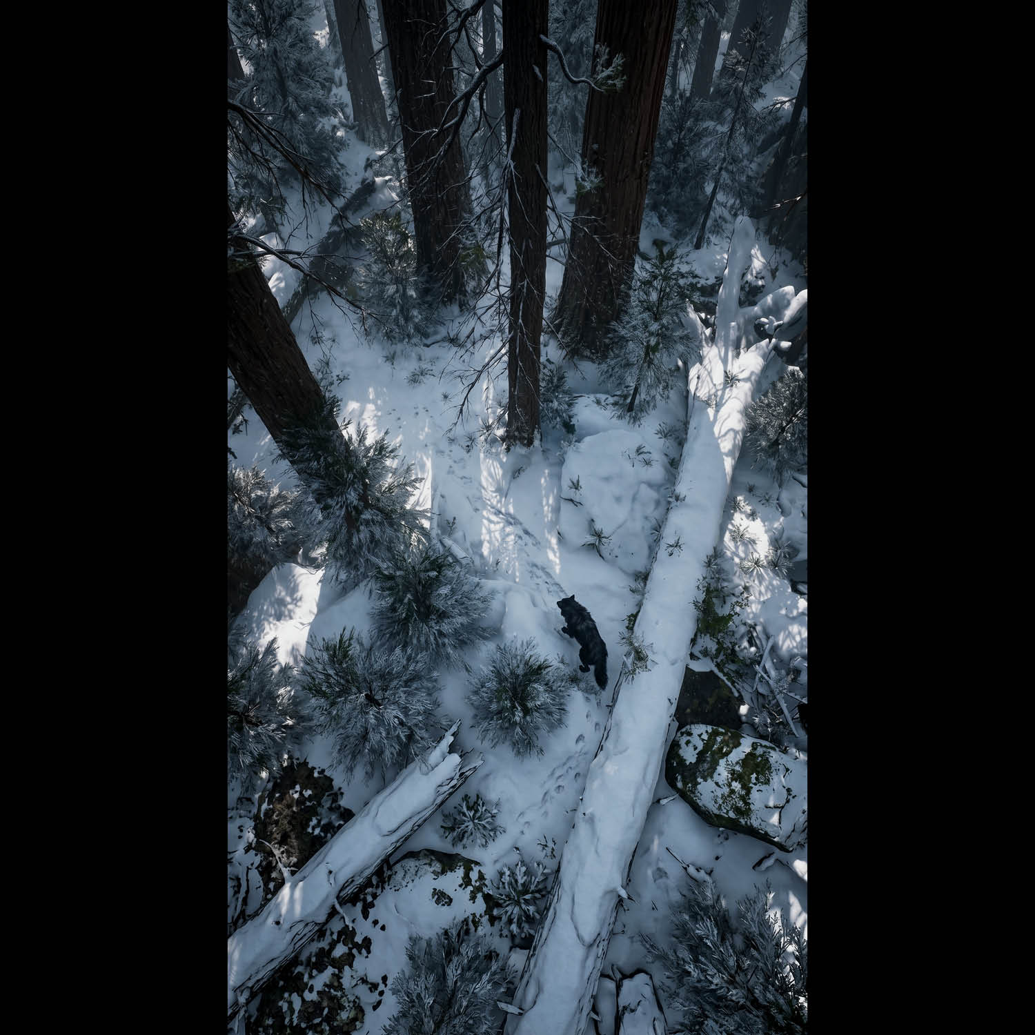 An atmospheric, 4K phone background depicting a colossal frost giant from Norse mythology towering over a misty mountain valley. The giant features glowing ice-blue eyes and a frozen beard, shrouded in thick clouds. In the foreground, a lone wolf stands sentinel on a jagged, snow-dusted cliff edge, looking up at the immense entity. The scene is cinematic, dark, and filled with a sense of mythic scale.