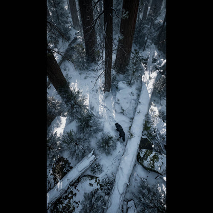 An atmospheric, 4K phone background depicting a colossal frost giant from Norse mythology towering over a misty mountain valley. The giant features glowing ice-blue eyes and a frozen beard, shrouded in thick clouds. In the foreground, a lone wolf stands sentinel on a jagged, snow-dusted cliff edge, looking up at the immense entity. The scene is cinematic, dark, and filled with a sense of mythic scale.
