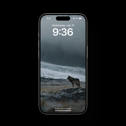 Glacier Wolf Wallpapers