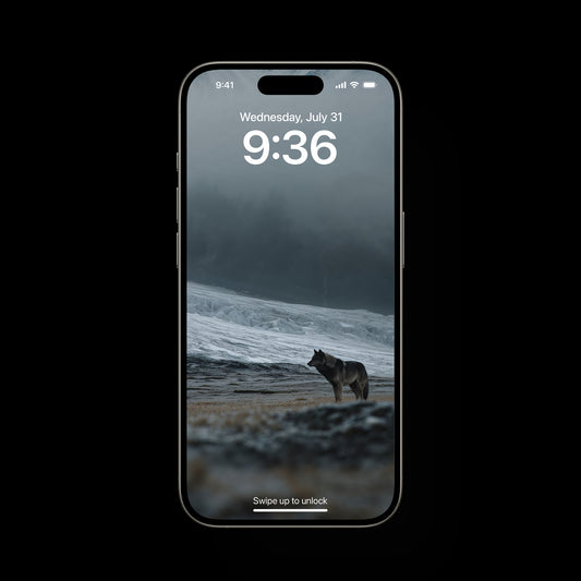 A black lone wolf roaming in by an epic Glacier of Midgard Wallpapers
